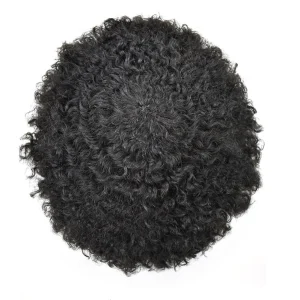 Mens Toupee Lace Front Afro Curl Black Human Hairpiece African American Wig