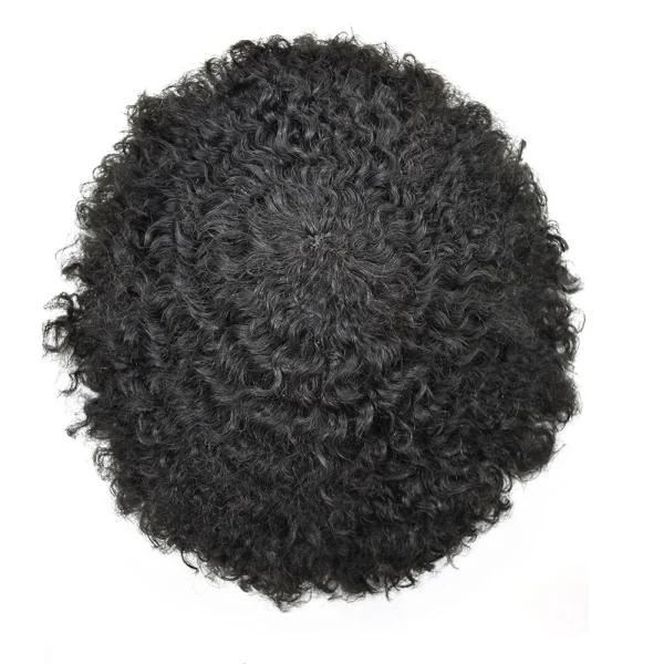 Mens Toupee Lace Front Afro Curl Black Human Hairpiece African American Wig