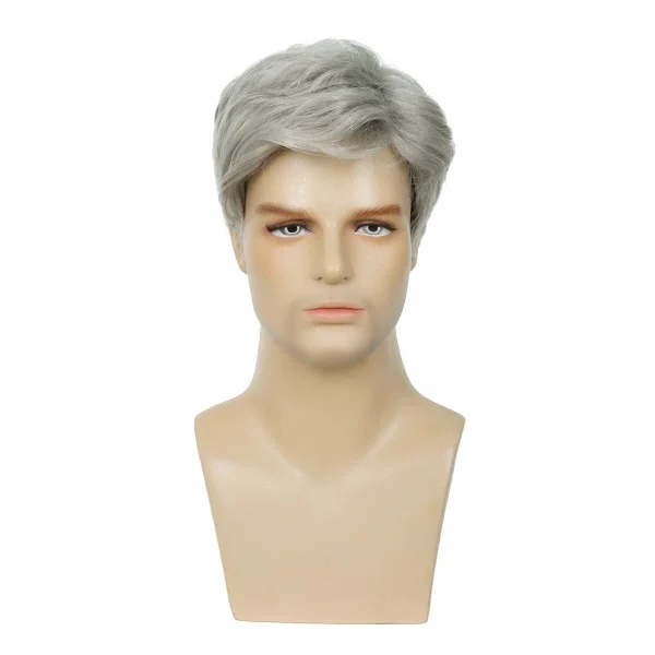 Natural Men's Grey Short Wig Heat Resistant Male Daily - Image 4